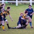 Custom Rugby Jerseys for Teams and Private Label Brands